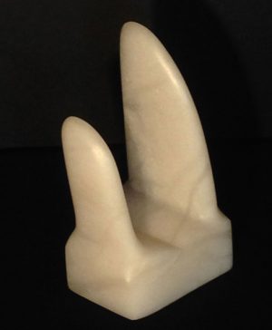 Whale Fins