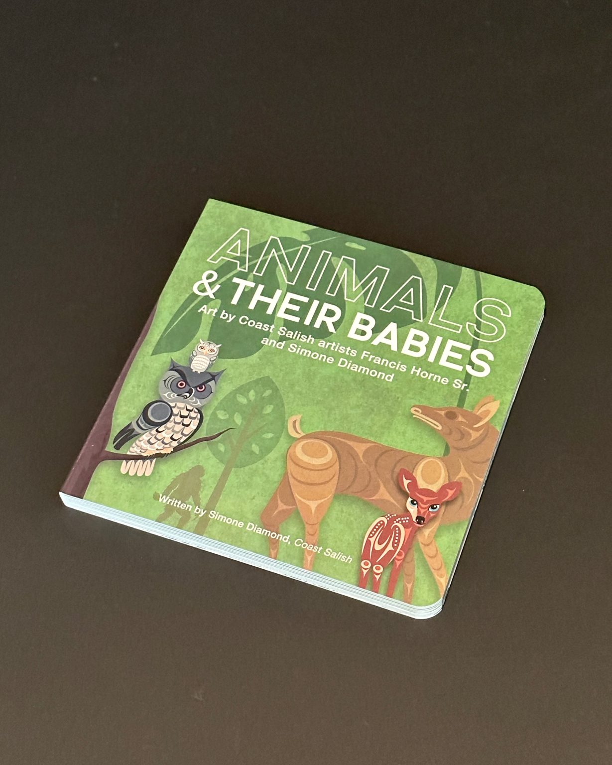 Animals & Their Babies Board Book • Spirit Gallery