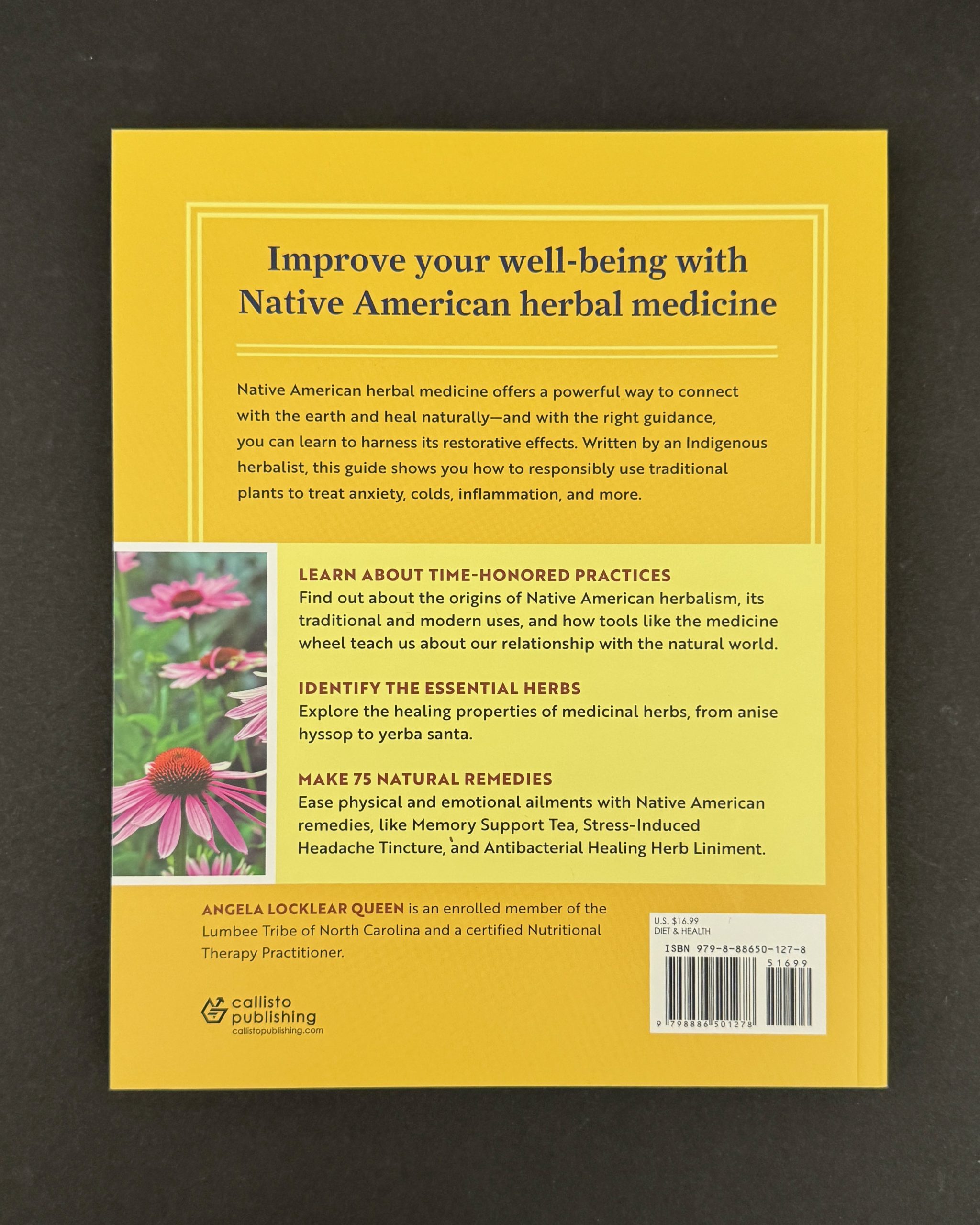 A Beginners Guide to Native American Herbal Medicine - Image 2