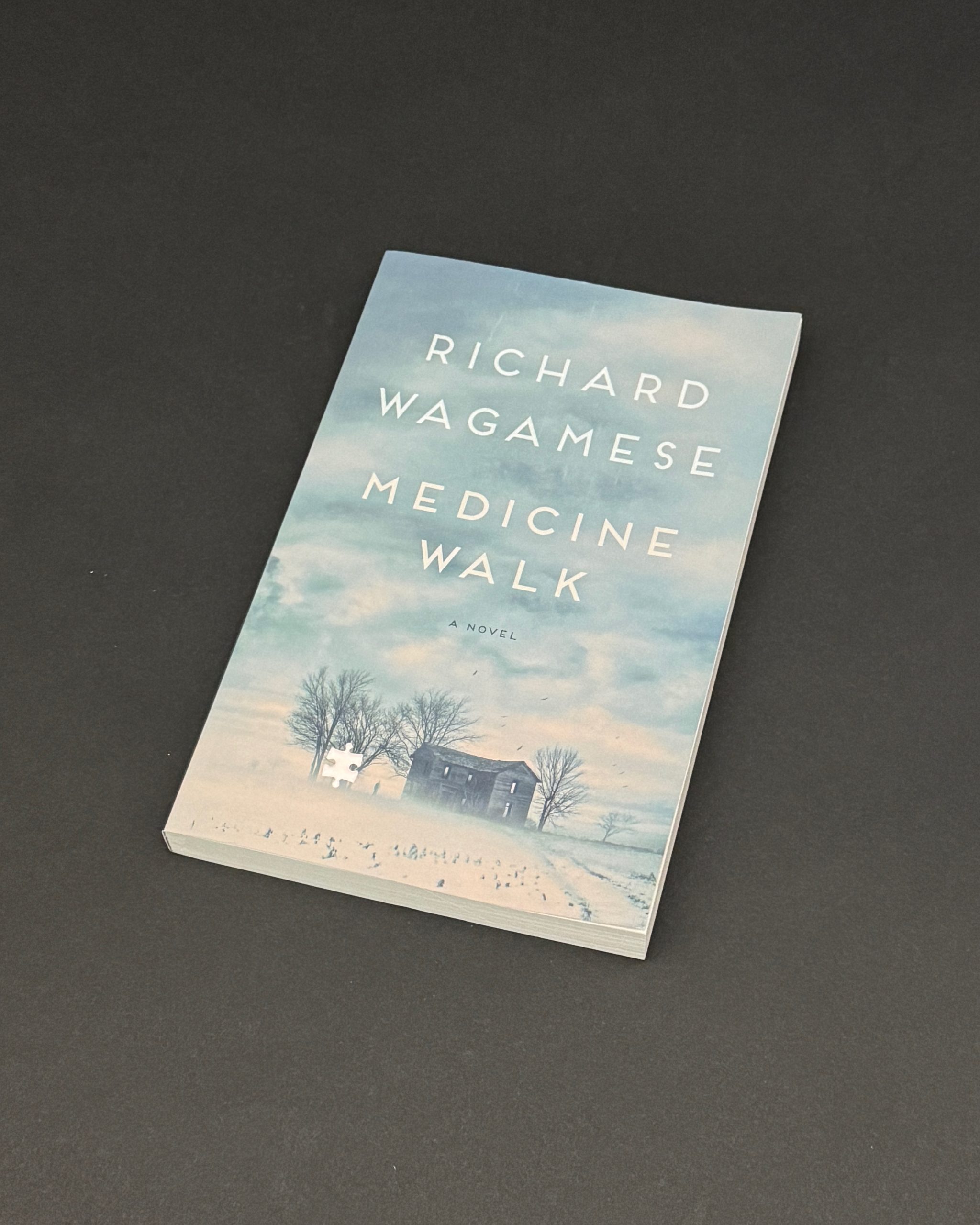 Medicine Walk - A Novel