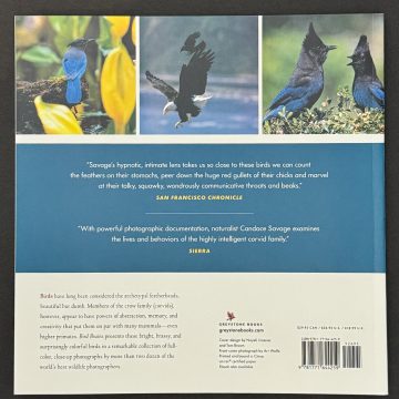 Bird Brains