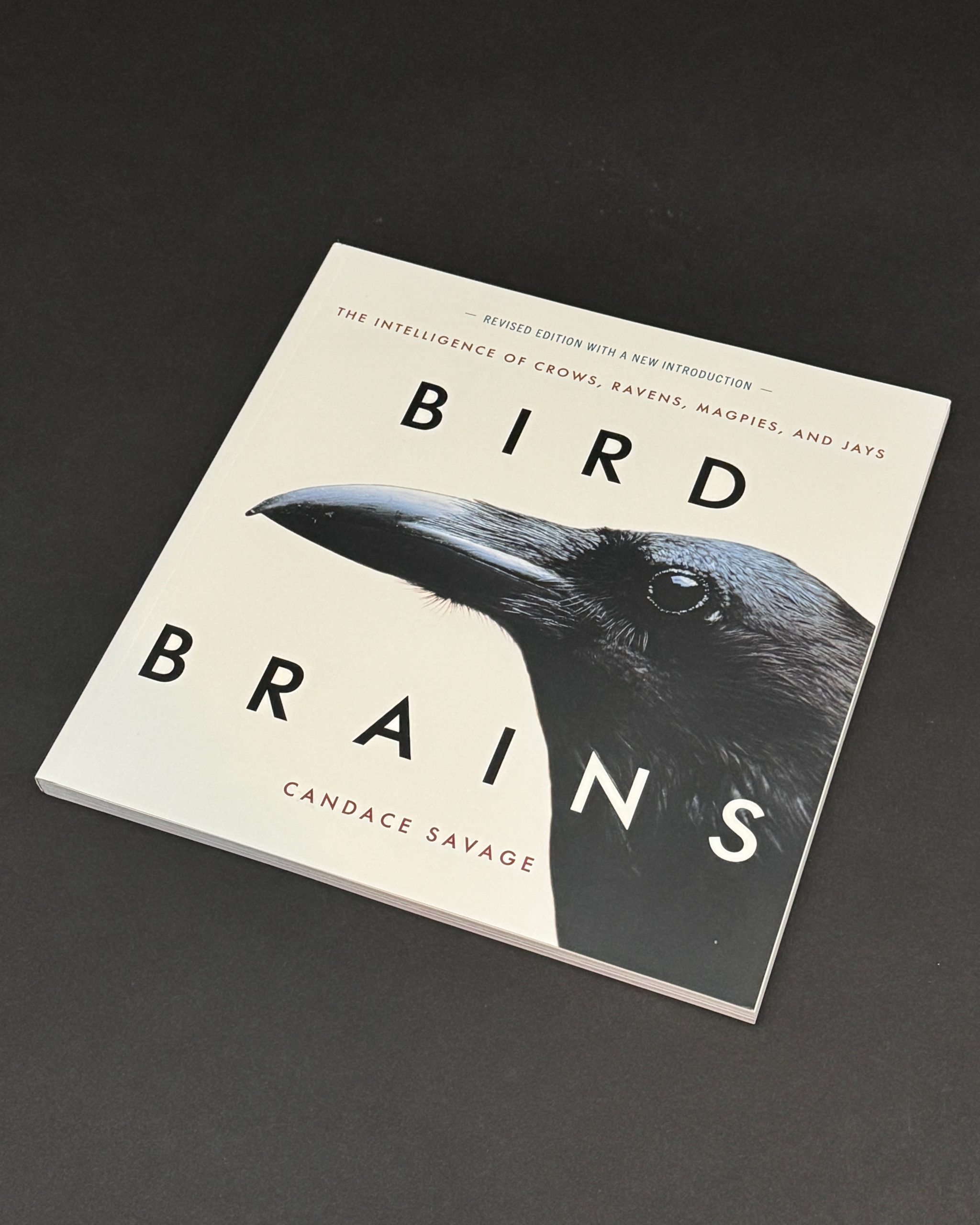 Bird Brains