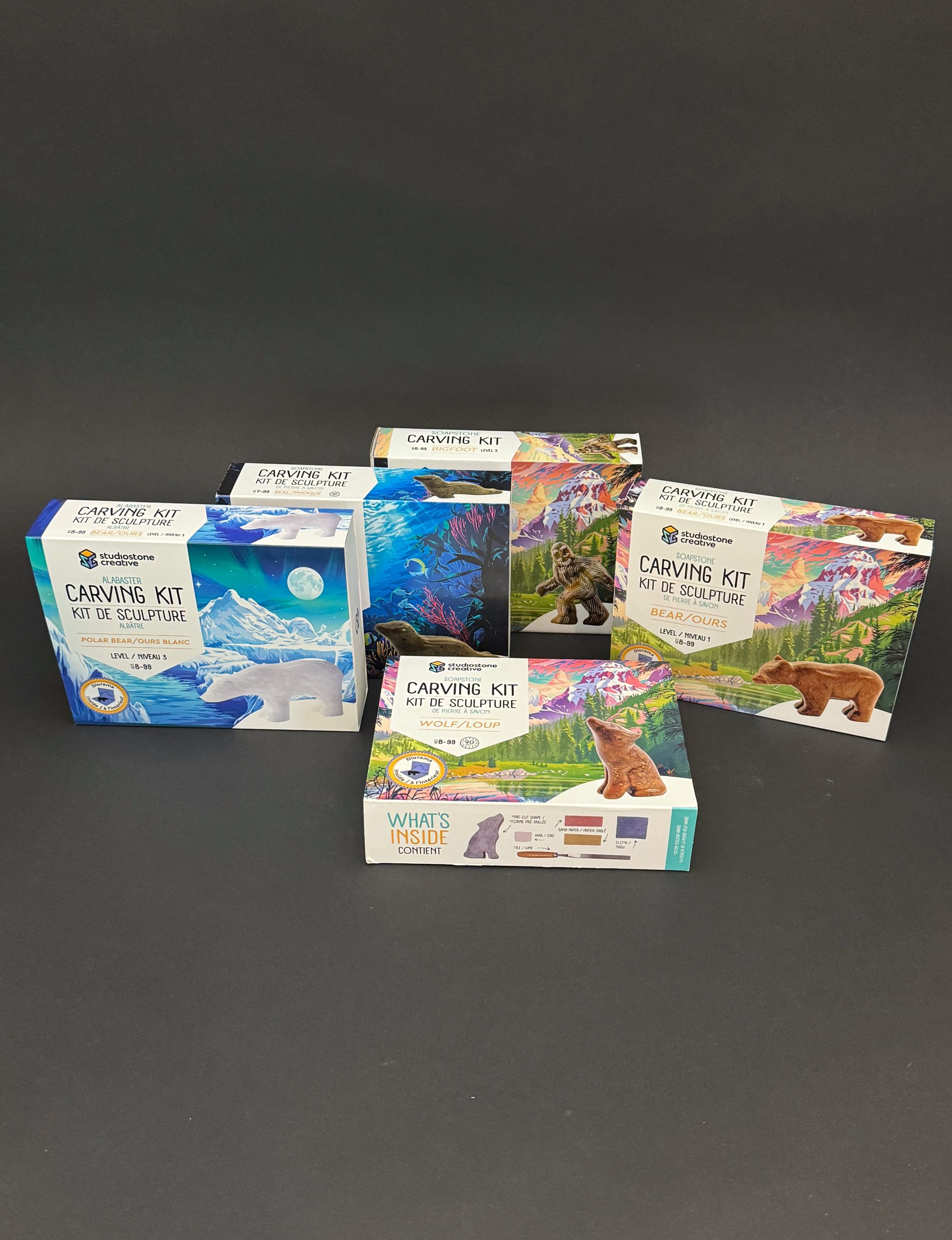 Soapstone Carving Kits