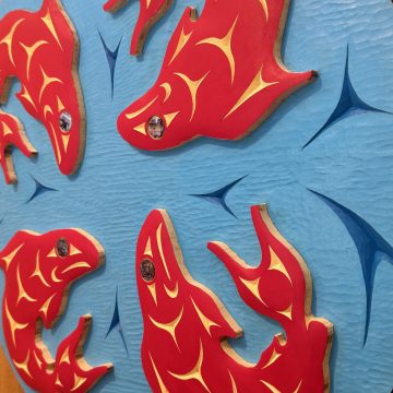 Salmon Panel